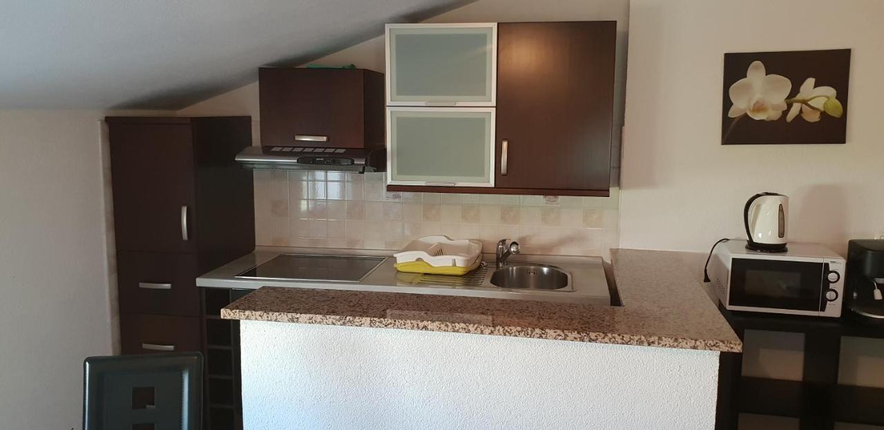 Apartmani Citrus Novigrad Filipac Exterior photo
